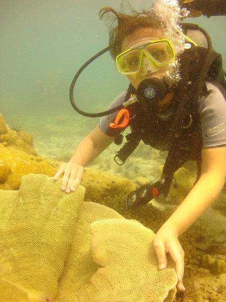 Светлана Максимова