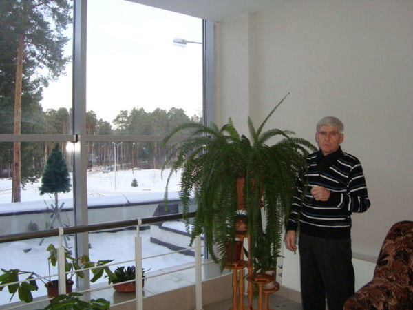 Владимир Павлов