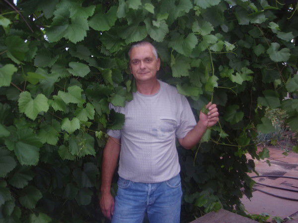 Владимир Васильев