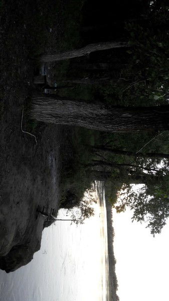 Сергей Елисейкин