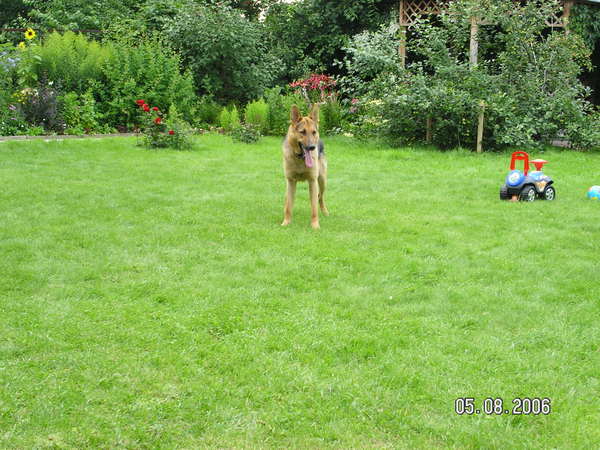 Алексей Воробьев