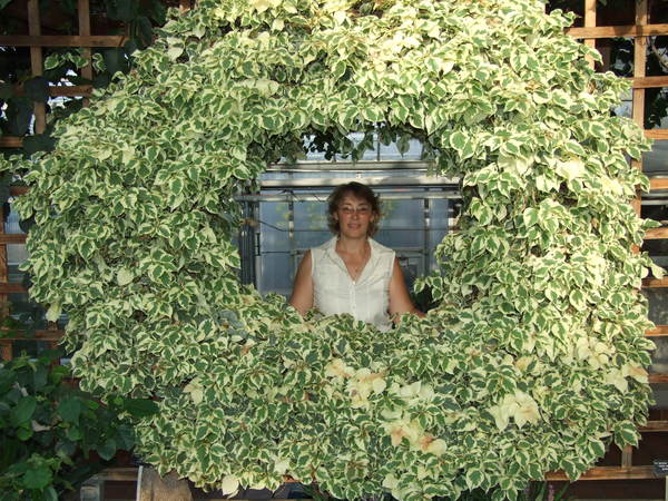 Светлана Хмелева