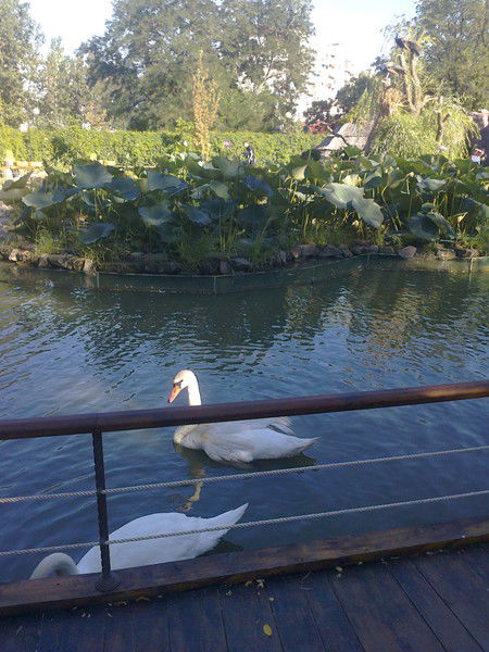 Бердибек Игалиев