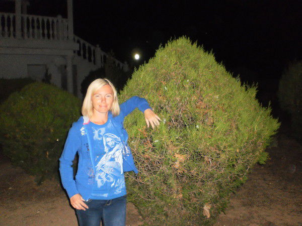 Татьяна Глушкова