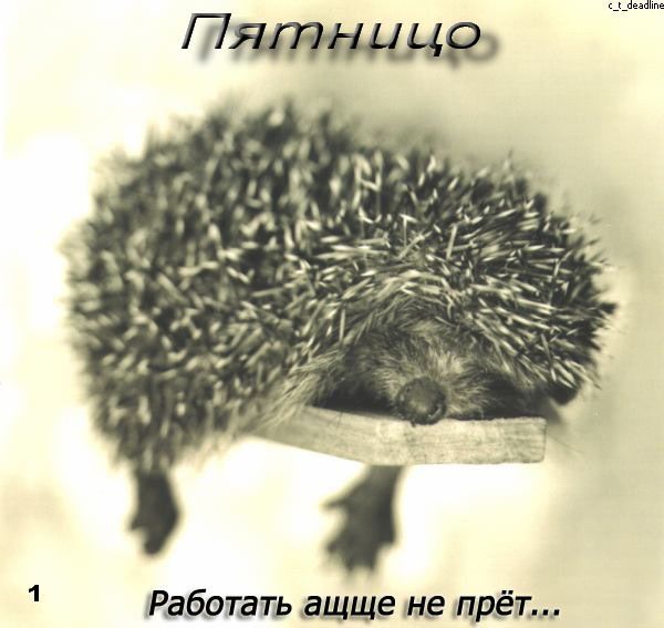 Даниил Доктор