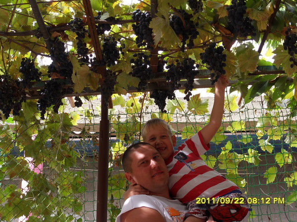 Дмитрий Лобанов