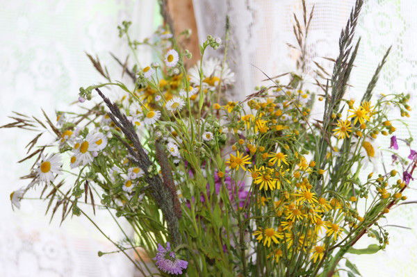 Людмила Никифорова