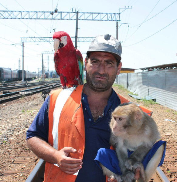 Григорий Степанян