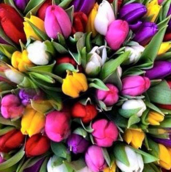 Нигора Каримова