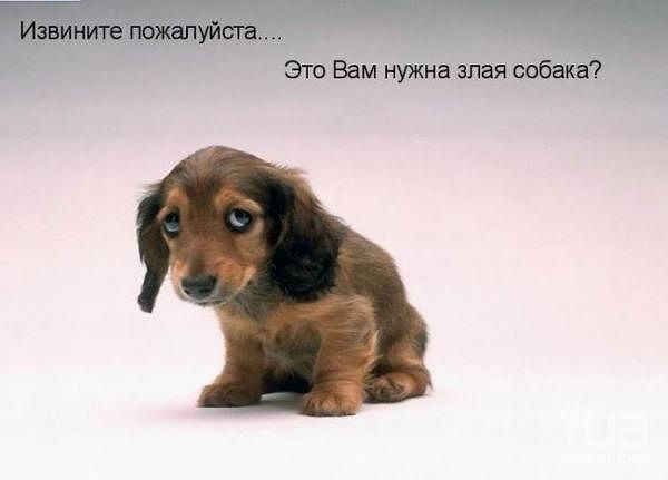 Леночка Вита