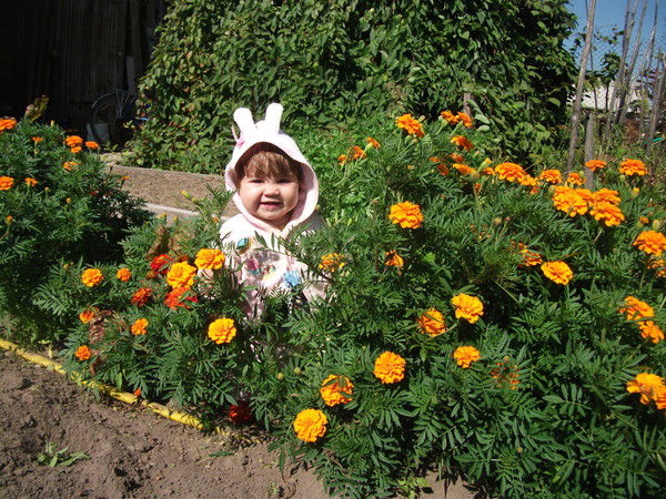 Марина Никитина