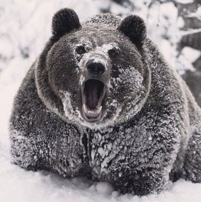 Владимир Панфил