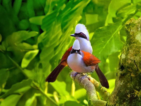 Кики Абдразакова