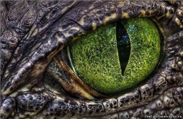 Рамиль Джанзаков