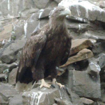 Никита Тимшин