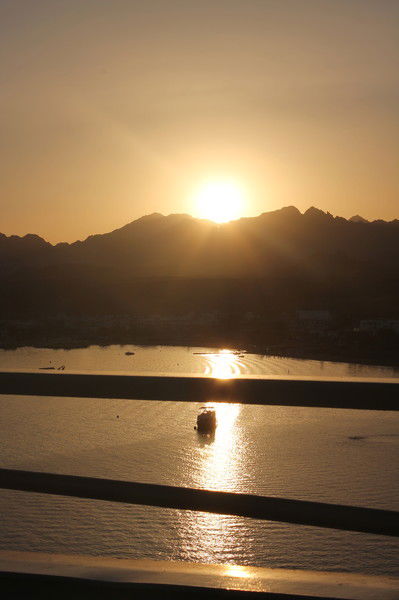 Екатерина О