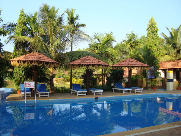 Марина Мамедова