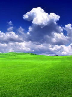 Светлана Голубовская