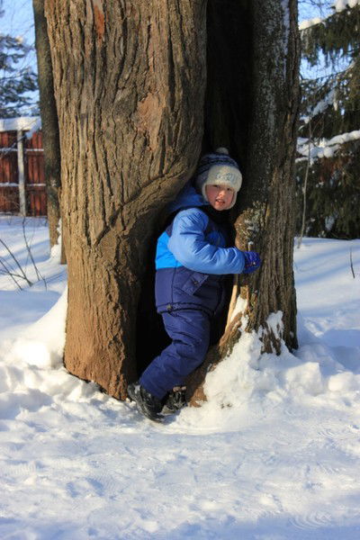 Светлана Григорьева