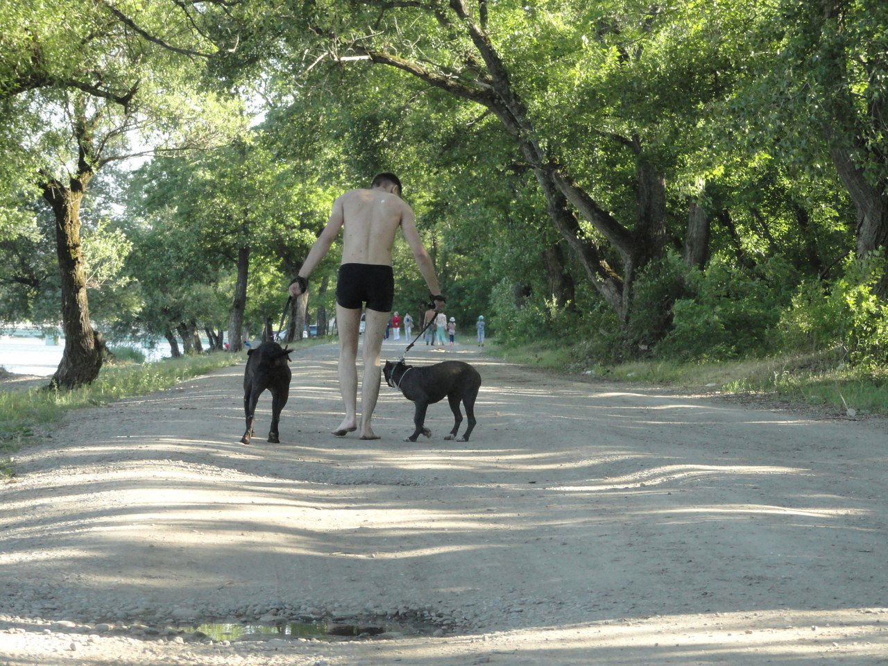 Евгений Карпов