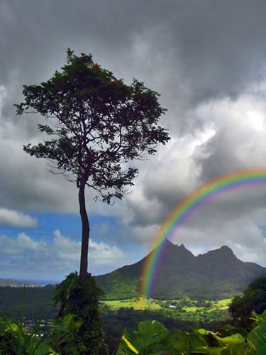 Виталий Коваленко