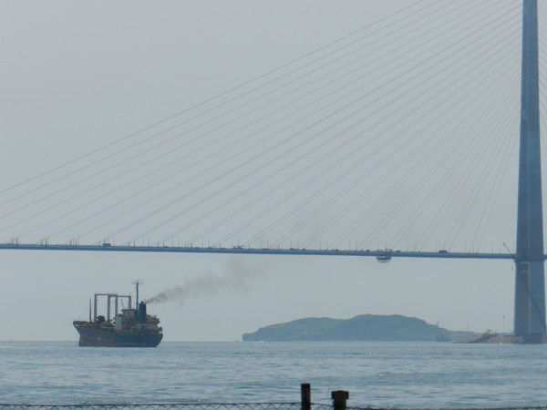 Галина Ляхута