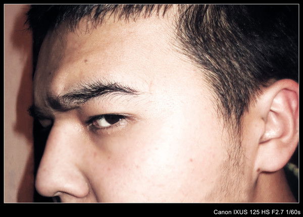 Doox's Mail For Best Friends