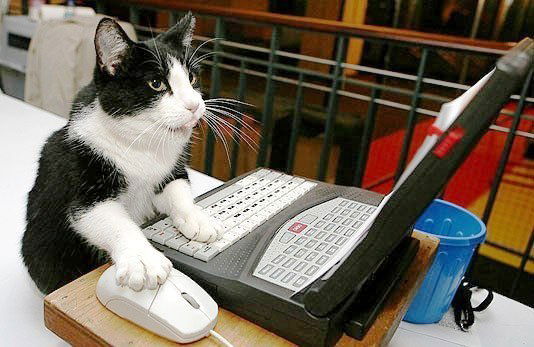 Анатолий Кожевников