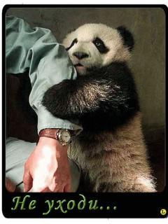 Светлана ***