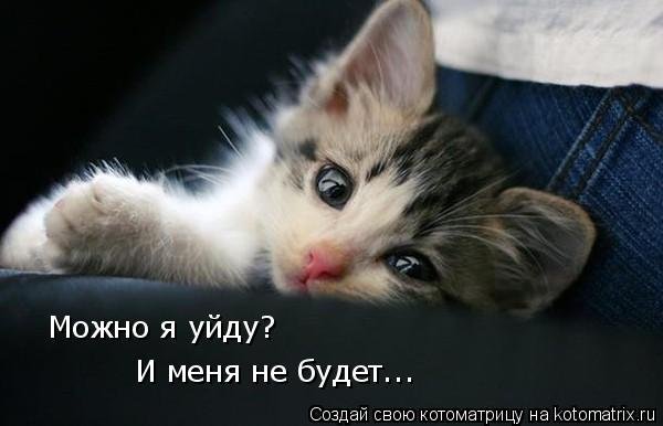 Натуся Киса