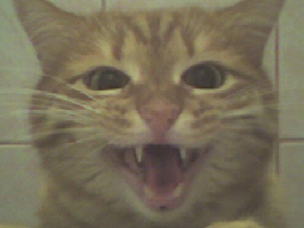 Александр Каблуков