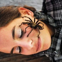 Владимир Гвиниашвили