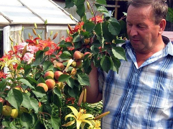 Валерий Свистунов