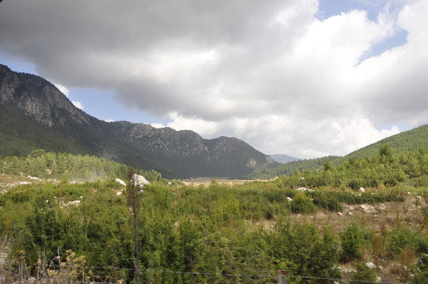 Анастасия Тарасенко