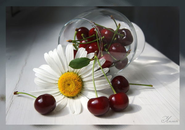 Аленка Степанова