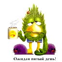 Дима Винокуров