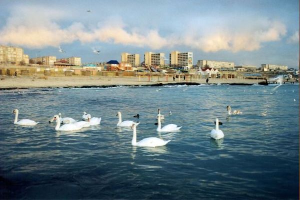 Марина Хлебнова