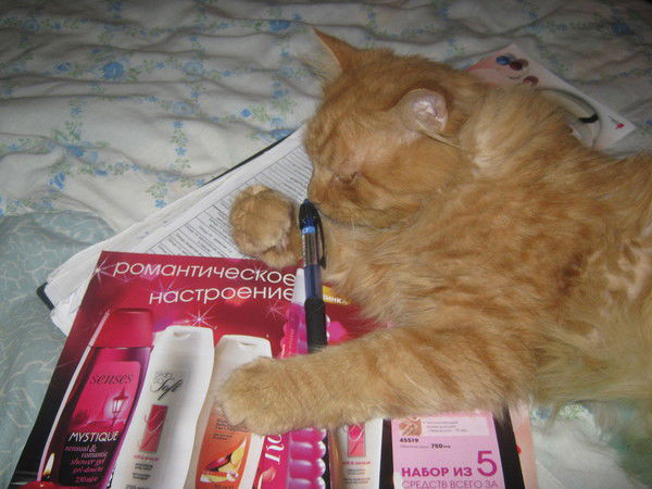 Елена Никонова