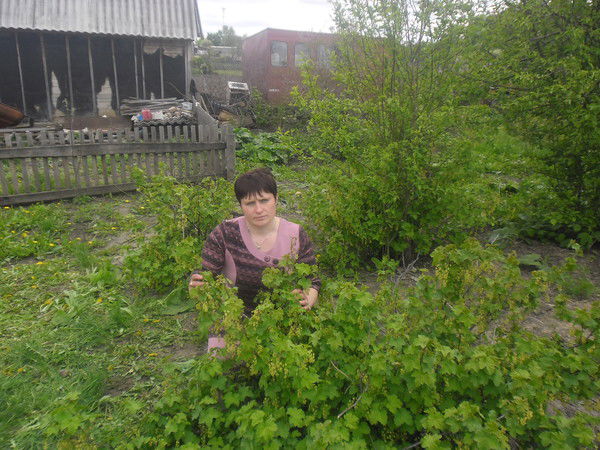 Елена Амерханова