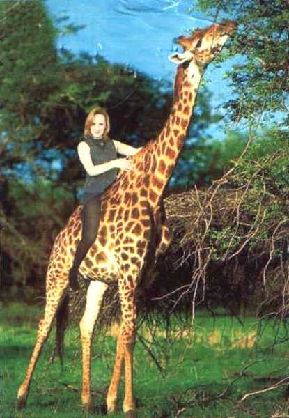 Эльвира Казакова