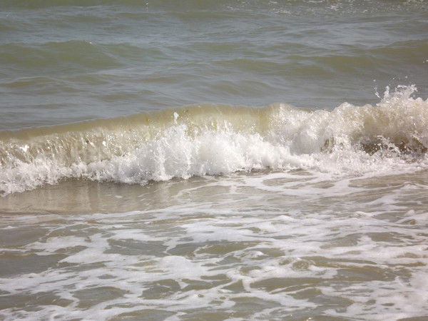 Марина Волкова