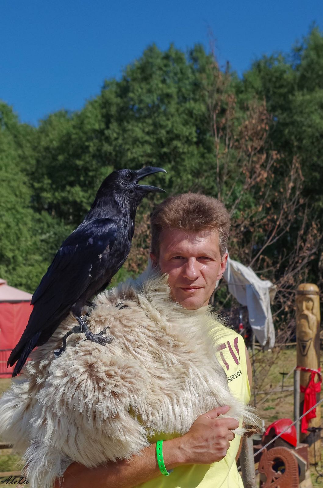 Александр Донсков