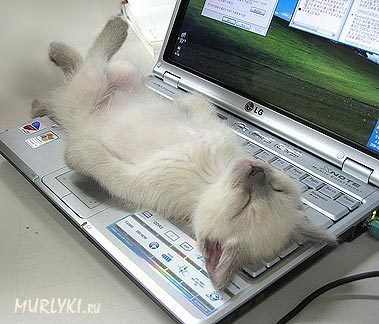 Евгения Фенаберова