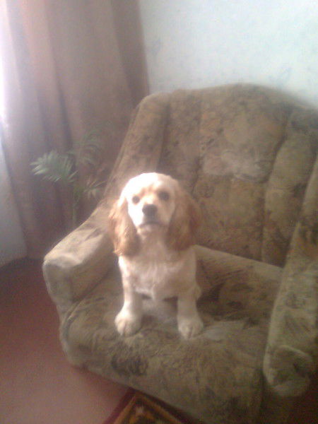 Рауза Жмарева