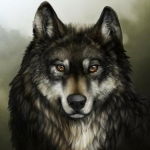 Игорь Колотов