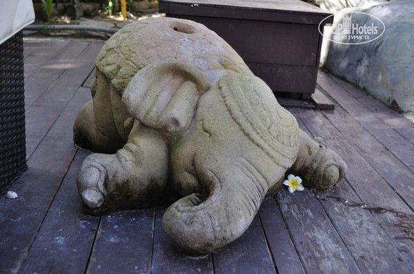 Гульдана Адыханова