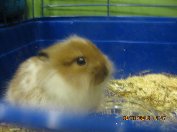 Данил Букуев