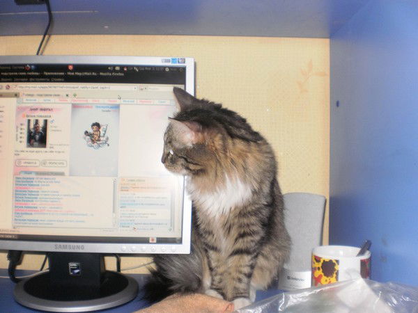 Ольга Иванова