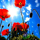 Юлия Чуянова