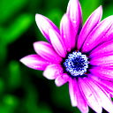 Рая Арысбаева